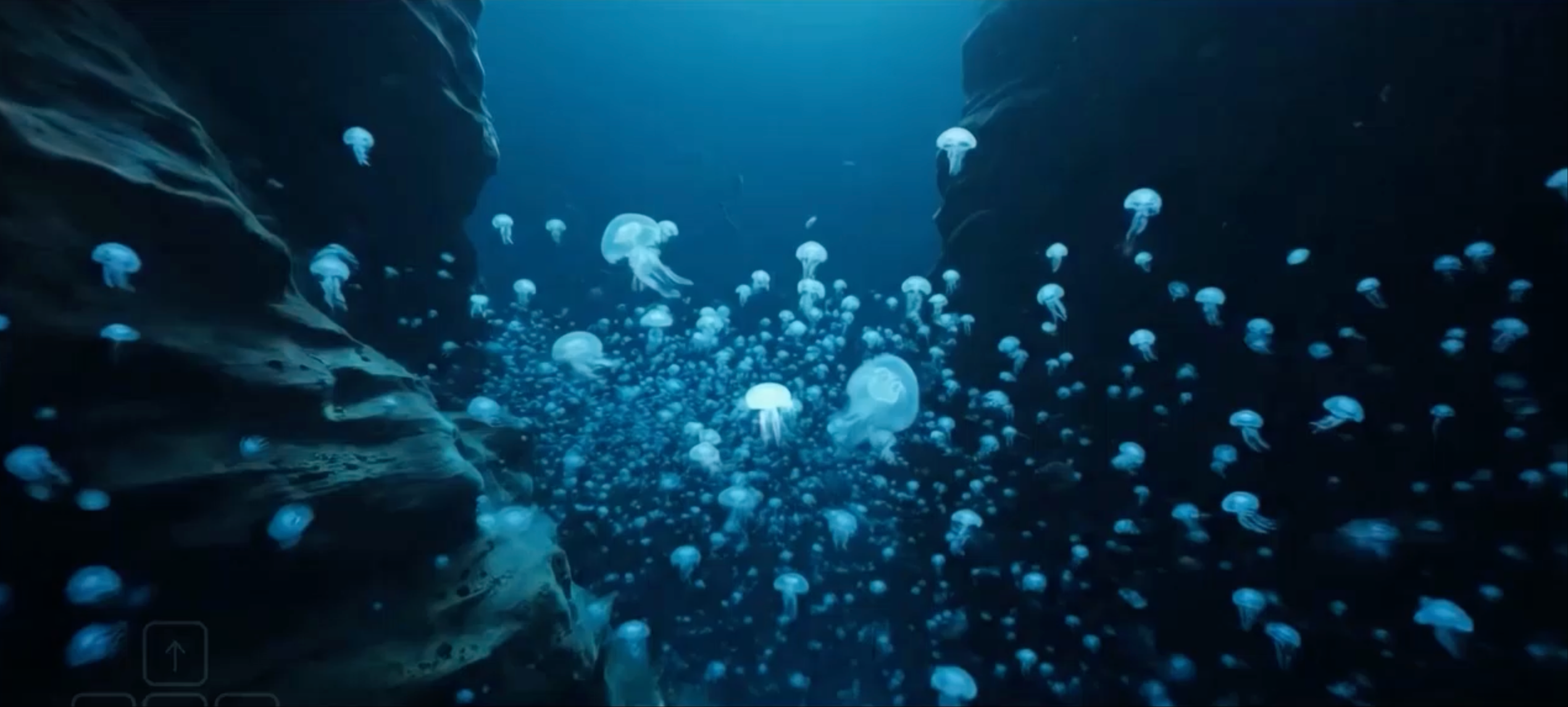 Natural World Simulation